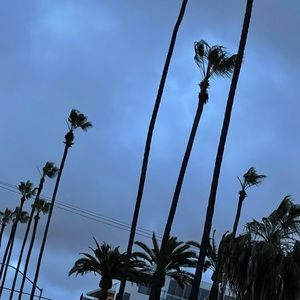 Meet your Posher, Sigrid